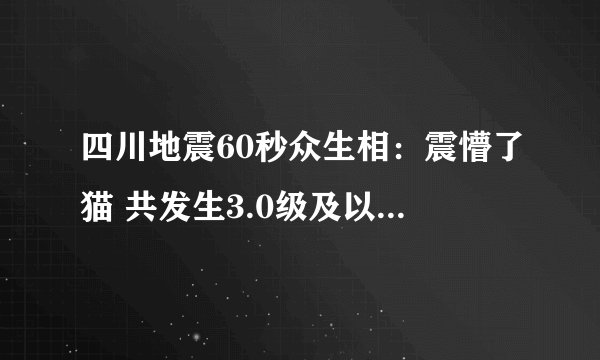 四川地震60秒众生相：震懵了猫 共发生3.0级及以上地震11次