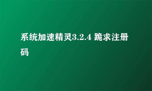 系统加速精灵3.2.4 跪求注册码