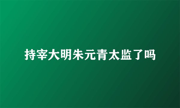 持宰大明朱元青太监了吗