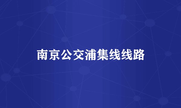 南京公交浦集线线路