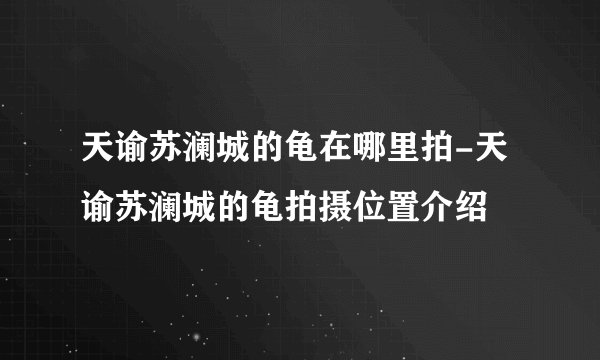 天谕苏澜城的龟在哪里拍-天谕苏澜城的龟拍摄位置介绍