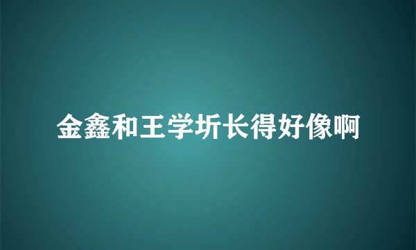 金鑫和王学圻长得好像啊