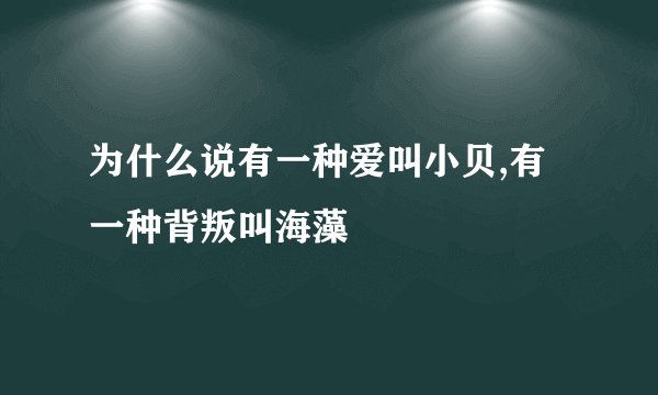 为什么说有一种爱叫小贝,有一种背叛叫海藻