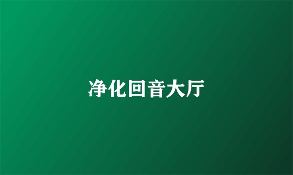 净化回音大厅