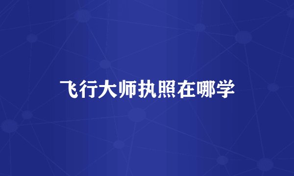 飞行大师执照在哪学