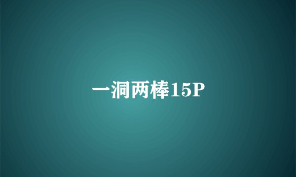 一洞两棒15P