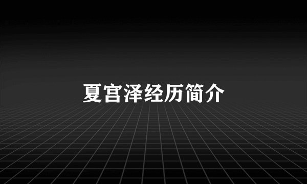 夏宫泽经历简介