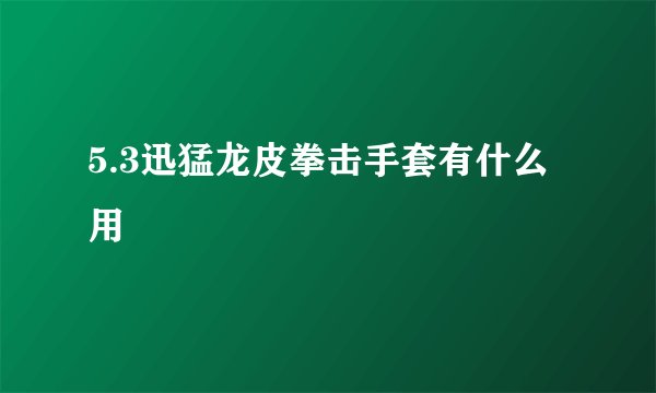 5.3迅猛龙皮拳击手套有什么用