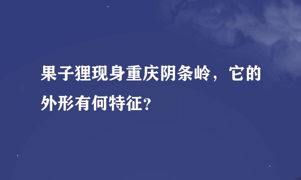 果子狸现身重庆阴条岭，它的外形有何特征？