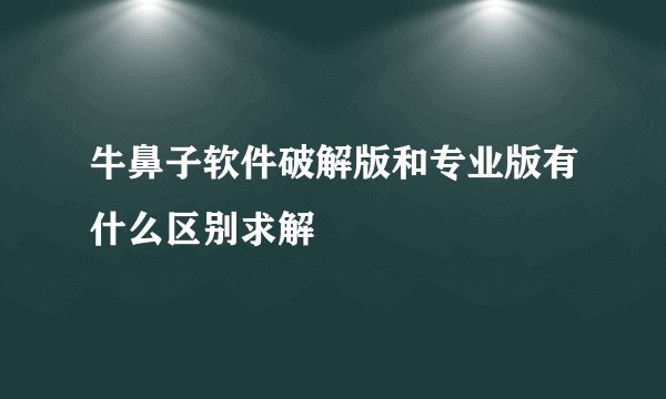 牛鼻子软件破解版和专业版有什么区别求解