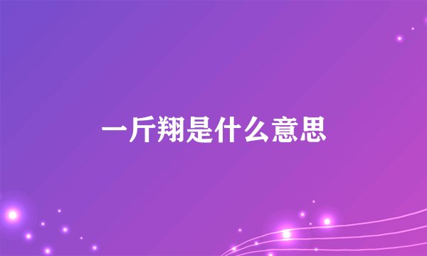 一斤翔是什么意思
