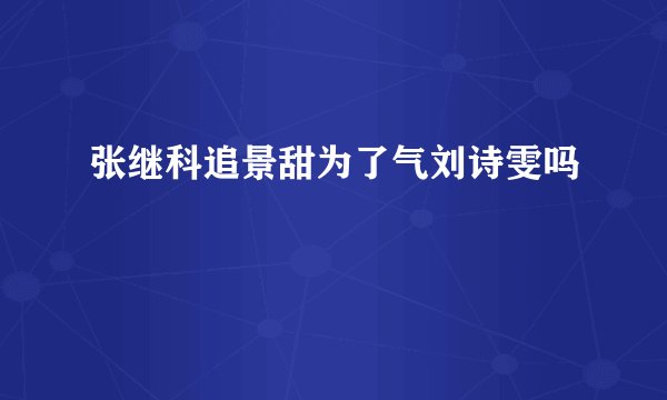 张继科追景甜为了气刘诗雯吗