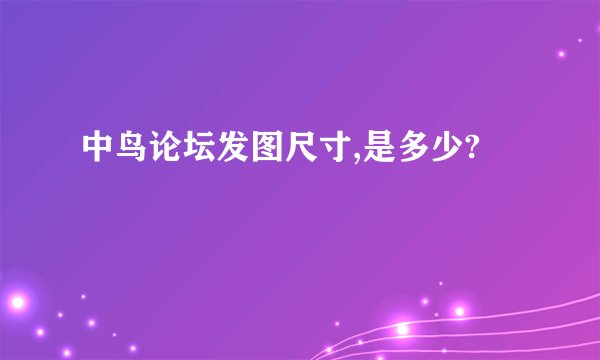 中鸟论坛发图尺寸,是多少?