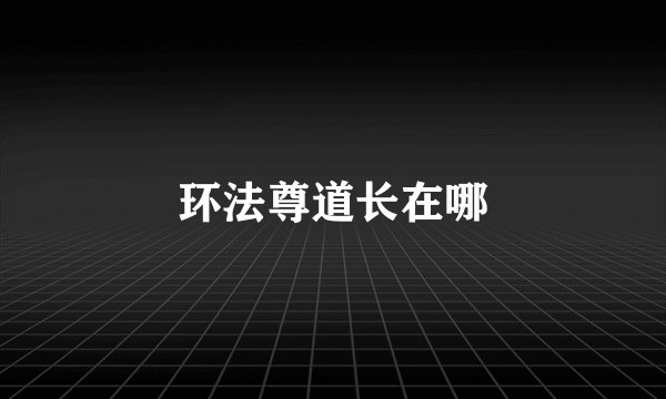 环法尊道长在哪