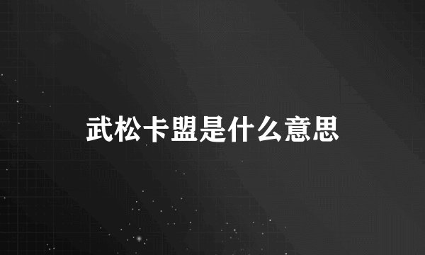 武松卡盟是什么意思