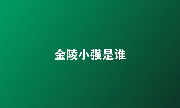 金陵小强是谁