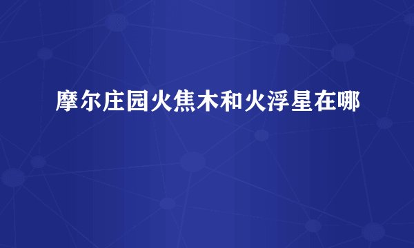 摩尔庄园火焦木和火浮星在哪