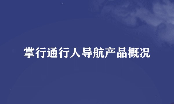 掌行通行人导航产品概况