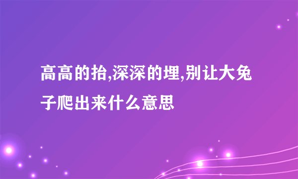 高高的抬,深深的埋,别让大兔子爬出来什么意思