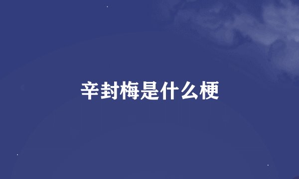 辛封梅是什么梗