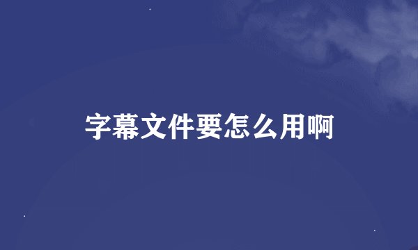 字幕文件要怎么用啊