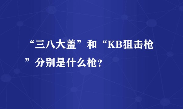 “三八大盖”和“KB狙击枪”分别是什么枪？