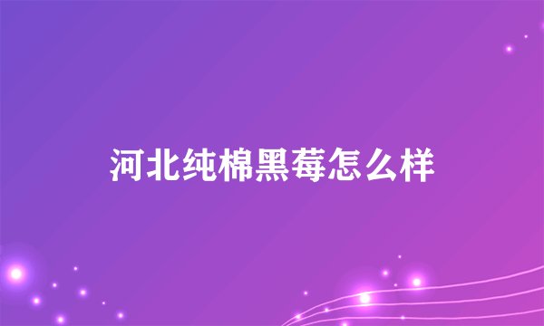 河北纯棉黑莓怎么样