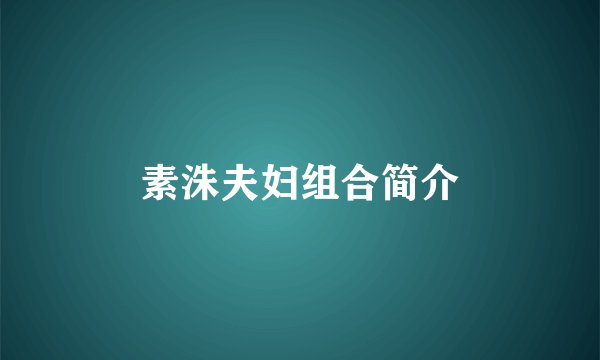 素洙夫妇组合简介