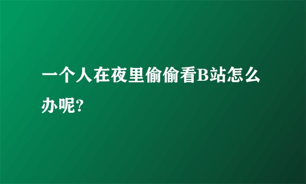 一个人在夜里偷偷看B站怎么办呢?