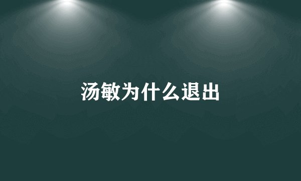 汤敏为什么退出