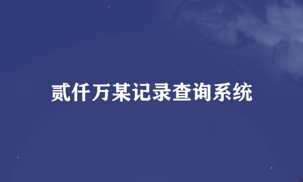 贰仟万某记录查询系统