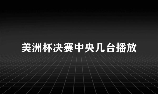 美洲杯决赛中央几台播放