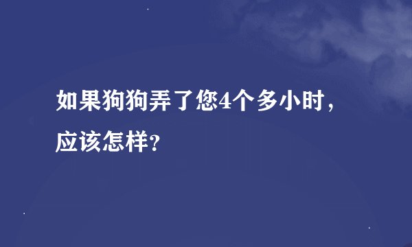 如果狗狗弄了您4个多小时,应该怎样?