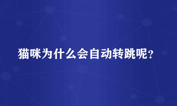 猫咪为什么会自动转跳呢？