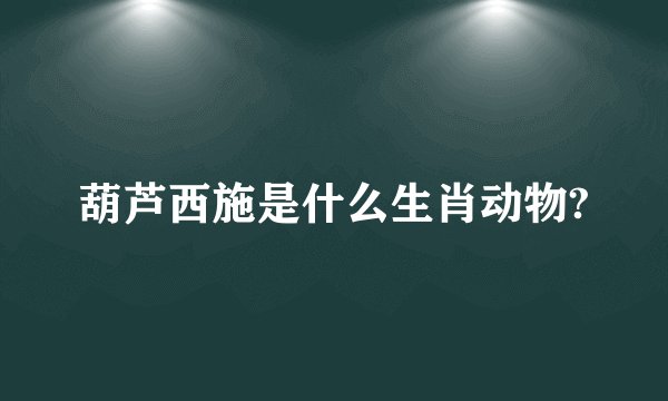 葫芦西施是什么生肖动物?