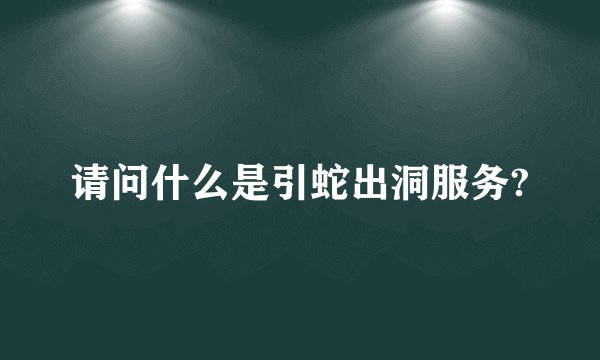 请问什么是引蛇出洞服务?