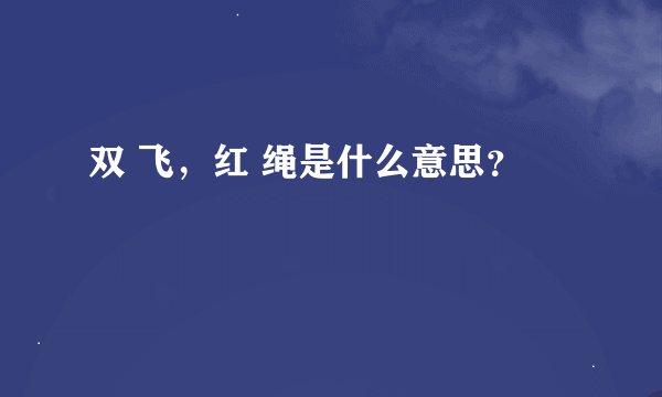 双 飞，红 绳是什么意思？