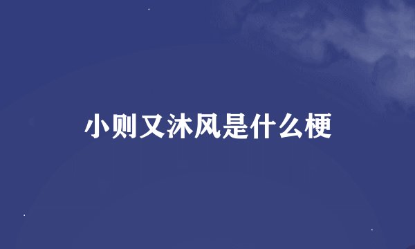 小则又沐风是什么梗