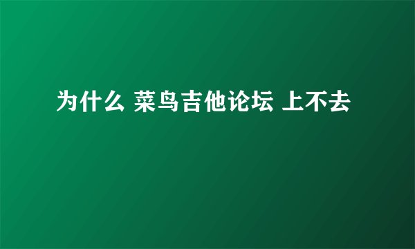 为什么 菜鸟吉他论坛 上不去