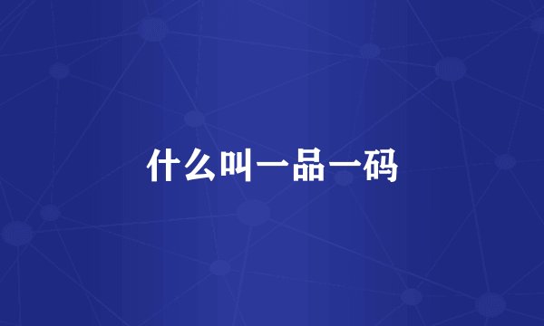 什么叫一品一码
