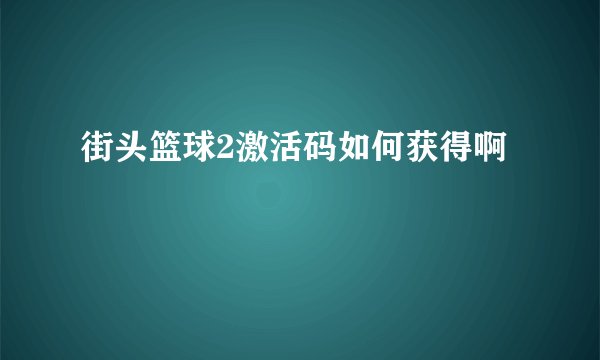 街头篮球2激活码如何获得啊
