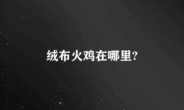 绒布火鸡在哪里?