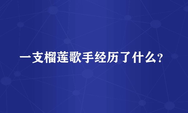 一支榴莲歌手经历了什么？