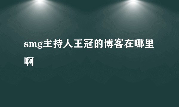 smg主持人王冠的博客在哪里啊