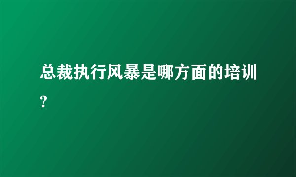 总裁执行风暴是哪方面的培训?