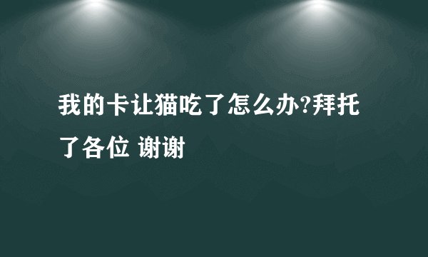 我的卡让猫吃了怎么办?拜托了各位 谢谢