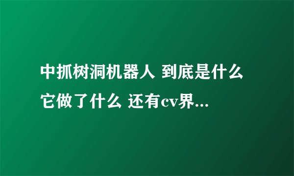 中抓树洞机器人 到底是什么 它做了什么 还有cv界发生什么了