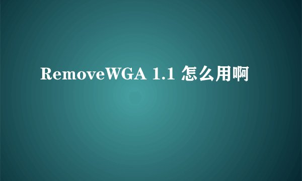 RemoveWGA 1.1 怎么用啊