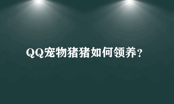 QQ宠物猪猪如何领养？