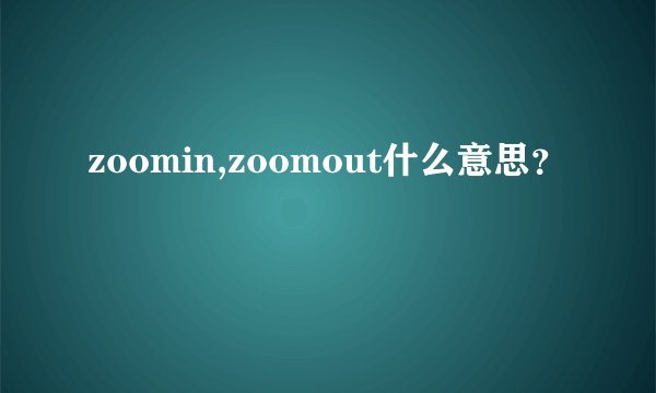 zoomin,zoomout什么意思？